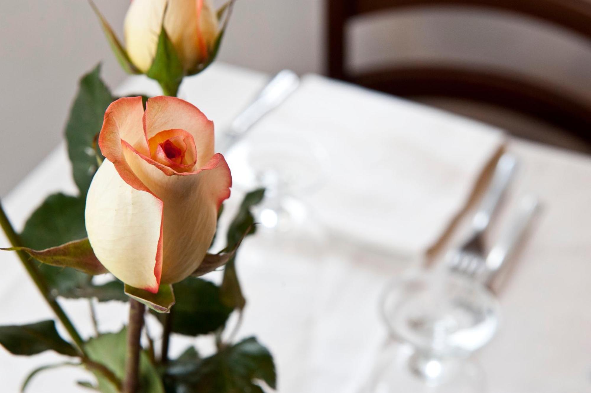 4 Pini Hotel Rom